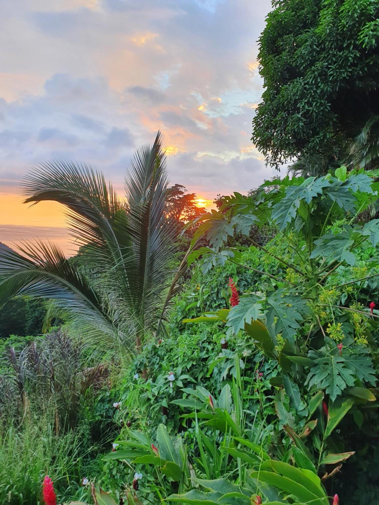 Beausejour Guest House ปวงต์-นัวร์ ภายนอก รูปภาพ